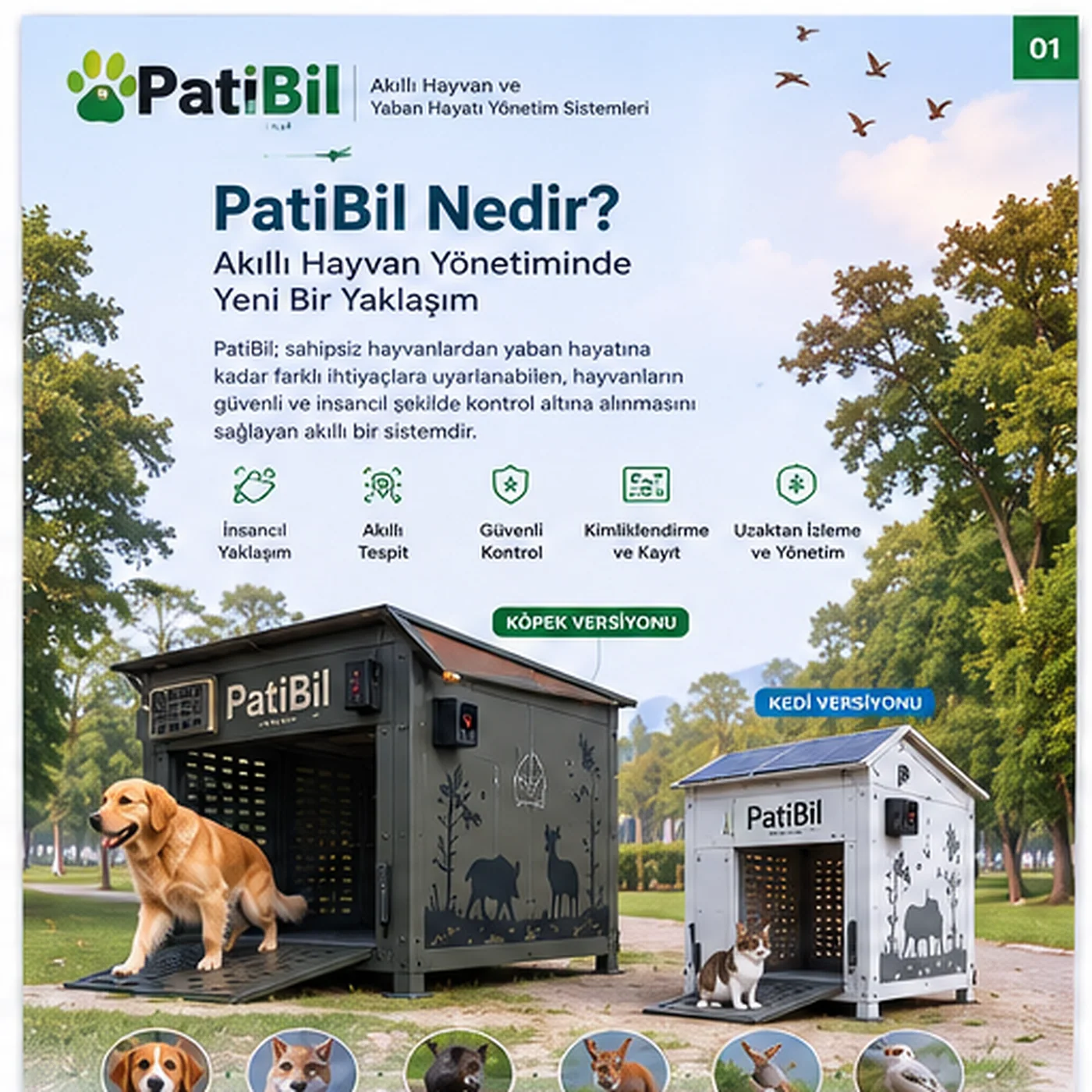 PatiBil Nedir? Akıllı Hayvan Yönetiminde Yeni Bir Yaklaşım