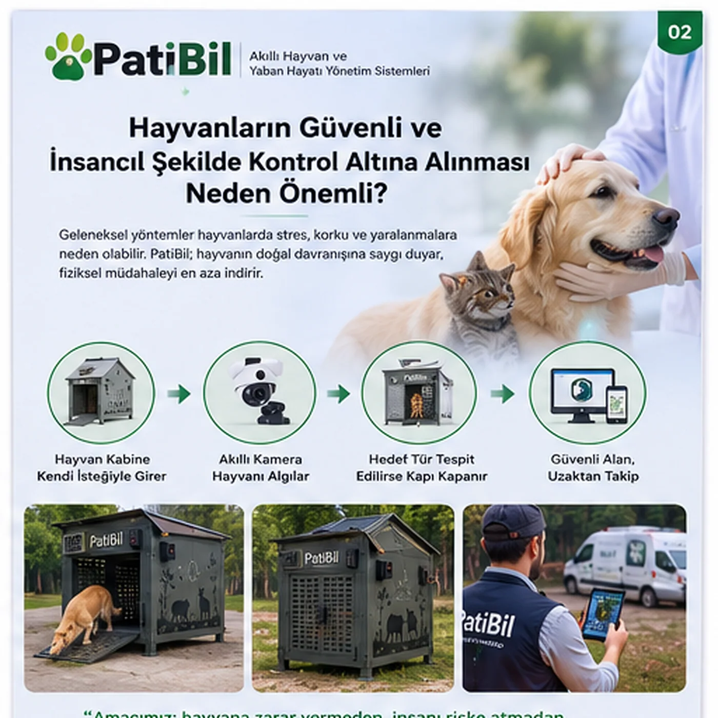 Hayvanların Güvenli ve İnsancıl Şekilde Kontrol Altına Alınması Neden Önemli?