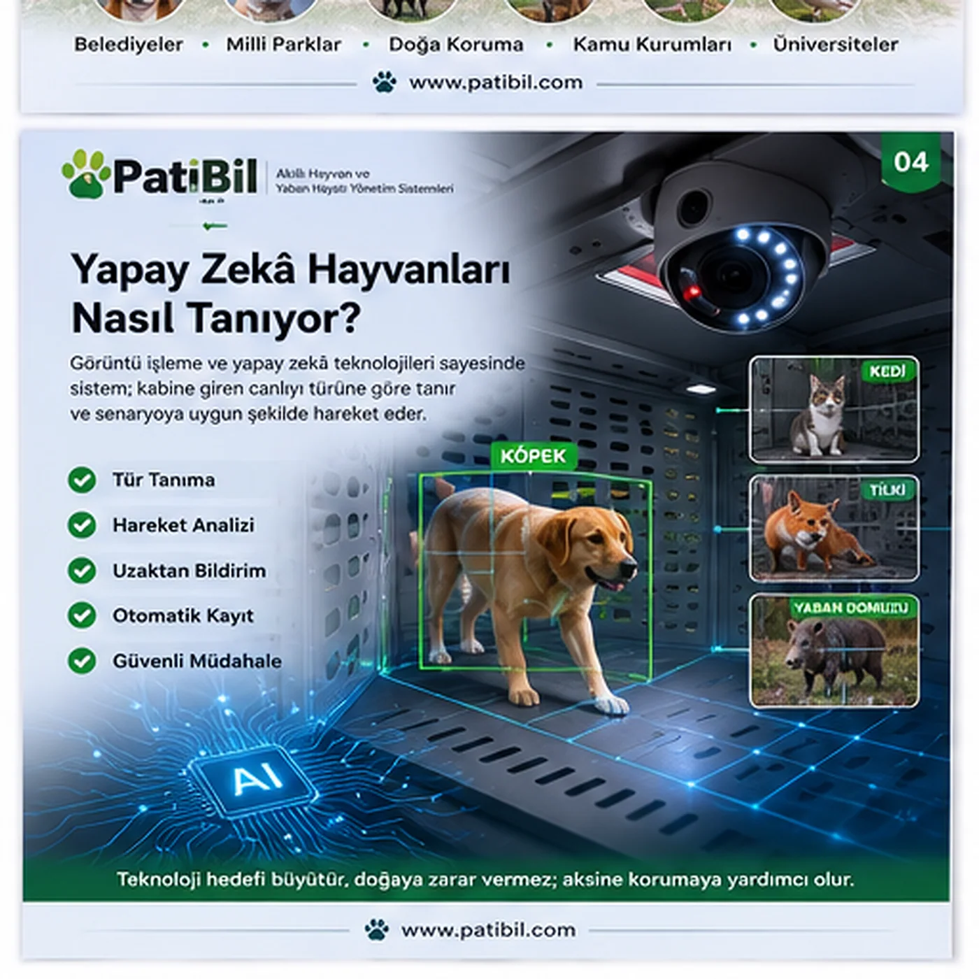 Yapay Zekâ Hayvanları Nasıl Tanıyor?