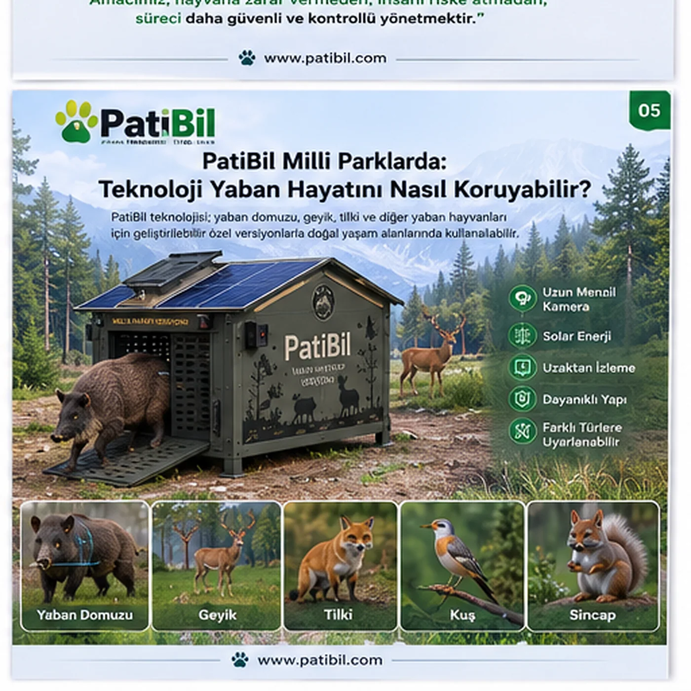PatiBil Milli Parklarda: Teknoloji Yaban Hayatını Nasıl Koruyabilir?